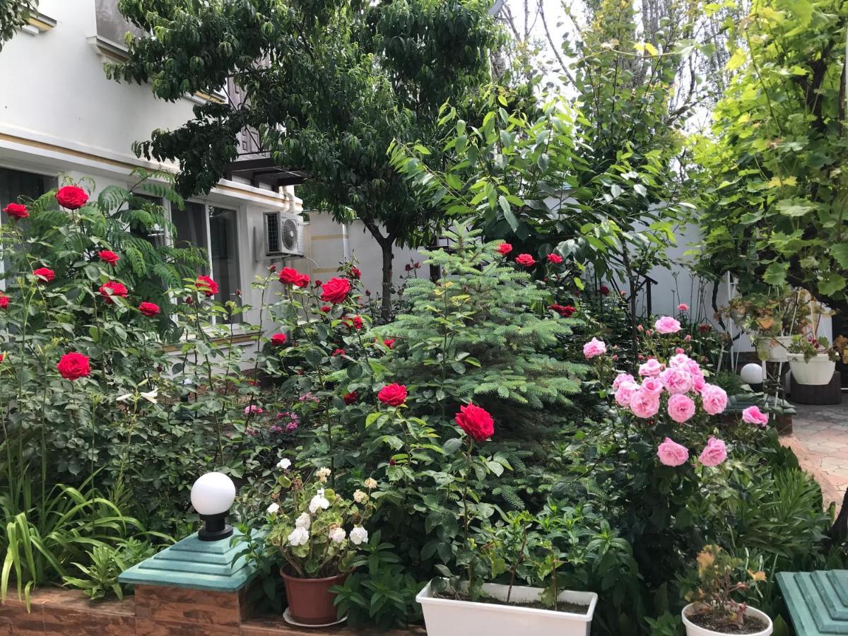Vilari Odessa المظهر الخارجي الصورة